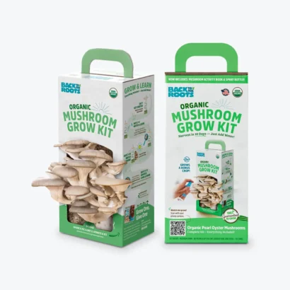 Mashroom Boxes